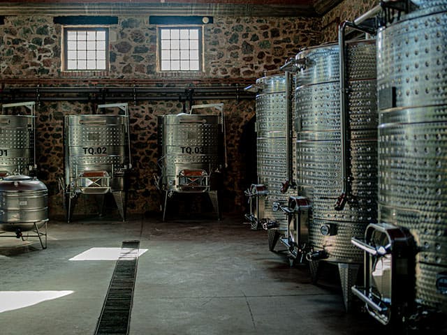 Guardianes del Camino