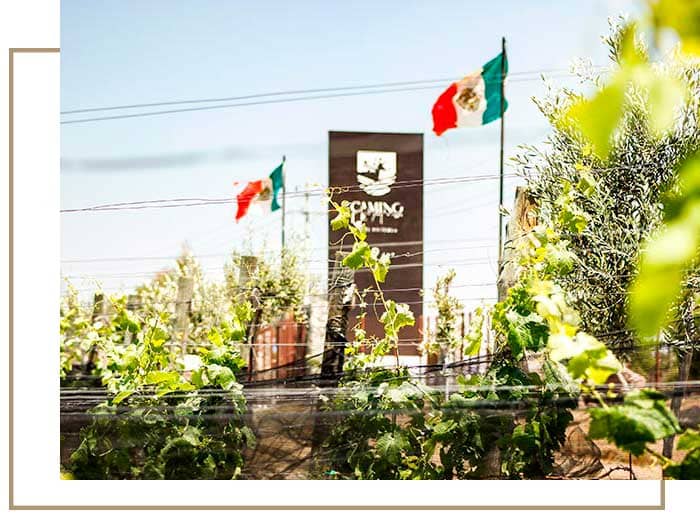 Camino de la Hacienda